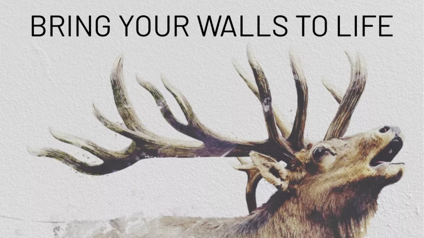 Wall Fire Studios Prints Durable Murals on Almost any Wall Surface